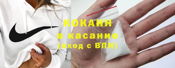 индика Алзамай
