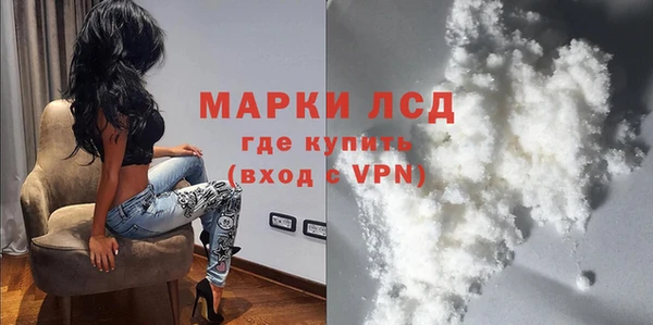 индика Алзамай