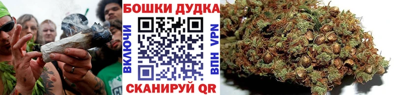 как найти наркотики  Сокол  Шишки марихуана план 